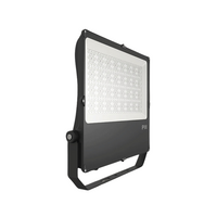 Buffalo II® L Premium Floodlight - F01-BA2-3100W-M