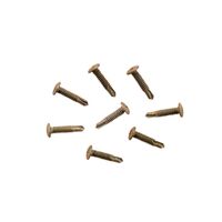 Clipsal - General Accessories, Wafer Head, Self Drilling, 10 x 22mm, Bag 100