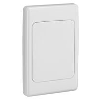 2000 Series, Flush Surround and Gridplate, Blank, Vertical/Horizontal Mount, Standard Size - White Electric