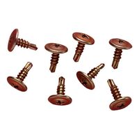 Clipsal - General Accessories, Washer Head, Self Drilling, 8 x 12mm, Bag 100