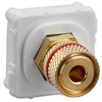 Clipsal Actassi, Banana Connector, Red Band - White Electric
