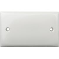 Digitek Blank Wall Plate - 05ABL