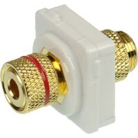 Digitek White Speaker Binding Post Insert - Red - 05BC5R