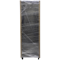 Datatek 37U 600mm Deep Data Cabinet - FPS Series - 24A37R66FPS