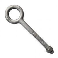 EYEBOLT M16 x 150