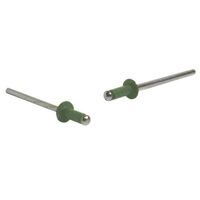 RIVETS, PAINTED AS 4-3 [100] TORRES BLUE (10)