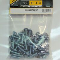 BOLT/NUT ROOFING 1/4 x 1/2 [200]