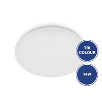 Sandy Oyster Light TriColour 14W 3000K/4000K/5700K White