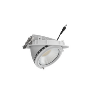 Vector Gimbal Pro TriColour Round Shoplight 40/36/32/28W 3K/4K/5K White