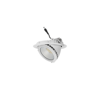 Vector Gimbal Pro TriColour Round Shoplight 40/36/32/28W 3K/4K/5K White