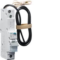 RCBO 1M 1P 6kA C-45A 30mA A Class