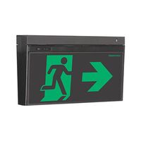 LCFPRO-TH-DS-RAOW