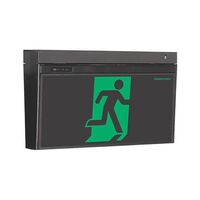 LCFPRO-TH-R