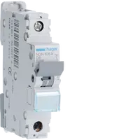 MCB 1P 10kA/15kA D-6A 1M