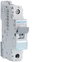 MCB 1P 10kA/15kA D-40A 1M