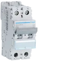 MCB 2P 10kA/15kA D-63A 2M