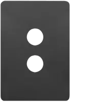 Allure 2 Gang Switch Plate MB