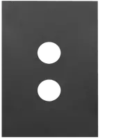 FIN 2 Gang Switch Cover MB