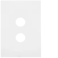 FIN 2 Gang Switch Cover