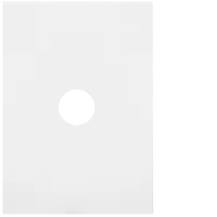 FIN 1 Gang Switch Plate