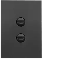 FIN 2 Gang Switch Plate cw mechs MB