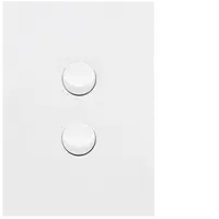 FIN 2 Gang Switch Plate cw mechs