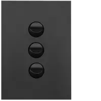 FIN 3 Gang Switch Plate cw mechs MB