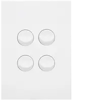 FIN 4 Gang Switch Plate cw mechs