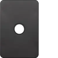 Silhouette 1G switch plate, no mech MB