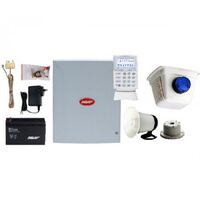 D16X SYSTEM W/ LCD KP + SIRENS