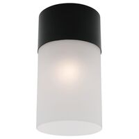 Anna DIY Batten Fix Light