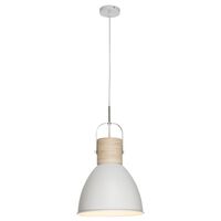 Calico 1Lt Pendant Light
