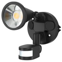 Single Head COB LED Floodlight with Sensor
