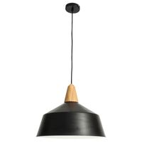 Noel 1Lt Large Pendant Light