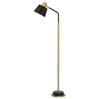 Robin Floor Lamp