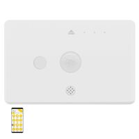 Ikuü Smart Zigbee Combination Sensor Switch
