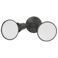 Sanders 2Lt PAR38 LED Flood Light