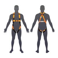 HARNESS, ESSENTIAL (BASIC ENTRY LEVEL)