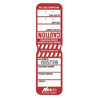 TEST TAGS, H/DUTY RECT BURGUNDY (5 YEARLY) [100]