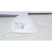 DUST MASK DISPOSABLE P1 PACK OF [3]