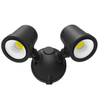 HANECO PROXIMA G2 24W SECURITY SPOTLIGHT 3CCT TWIN HEAD WHITE