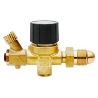 SIEVERT ADJUSTABLE REGULATOR W/ HOSE FAILURE VALVE 1-4 BAR