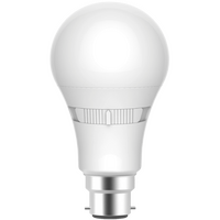 HANECO BOLIDE LED 8W A60 NON DIMMABLE FROSTED GLOBE 2700/3000/4200/5000/6000K 100lm/W B22
