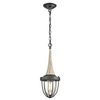 PENDANT ES Satin Brass & Dark Wood CAGE OD180mm