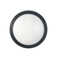 BULKHEAD 12W RND Blk 4K IP66 OD300mm 800 Lm