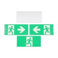 Stanilite Emergency Diffuser Mount Quickfit CCFL Picto Straight