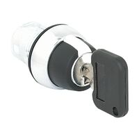 Allen-Bradley 800F Key Selector Switch 22.5mm 2 Position Metal Maintained Right Code 3825