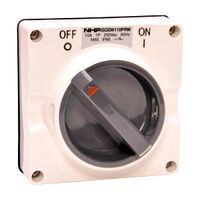NHP ISO Surface Switch, 2 Pole 10A 250V AC, w/o Base, Resistant White