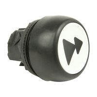 Allen-Bradley 800FC Pushbutton 2-Speed White Horizontal Forward