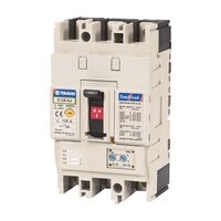 Terasaki TemBreak 2 MCCB 125 Frame 25kA 3P 100A Thermal Magnetic